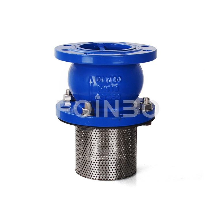 1 inch foot valve (2)